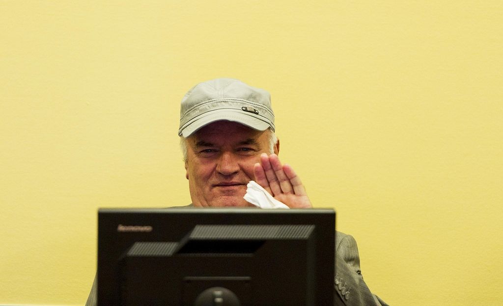 Preobrat: nemirnega Mladića odstranili iz dvorane